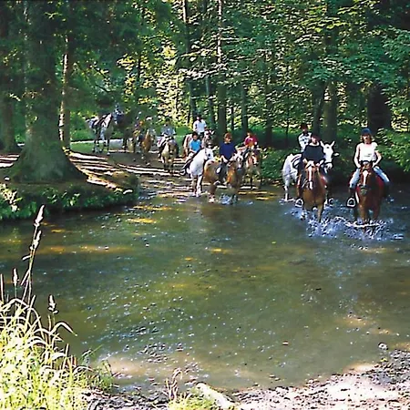 Holiday Homes Im Waldferiendorf, Regen * Regen