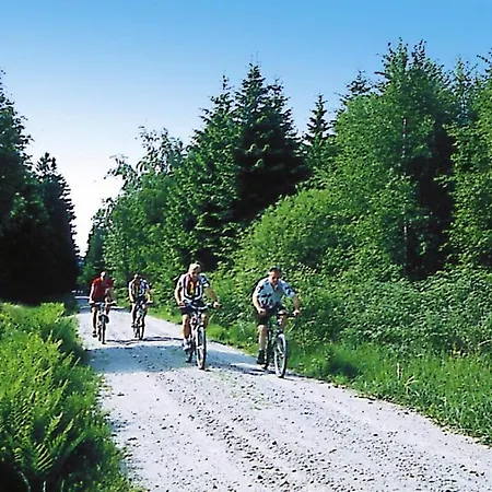 Holiday Homes Im Waldferiendorf, Regen *